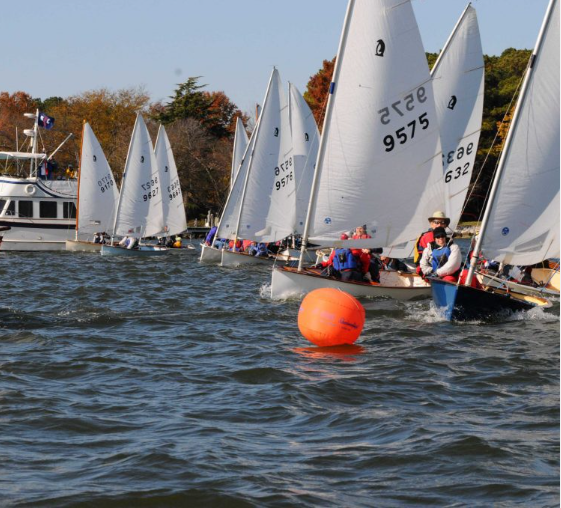 tred avon yacht club regatta