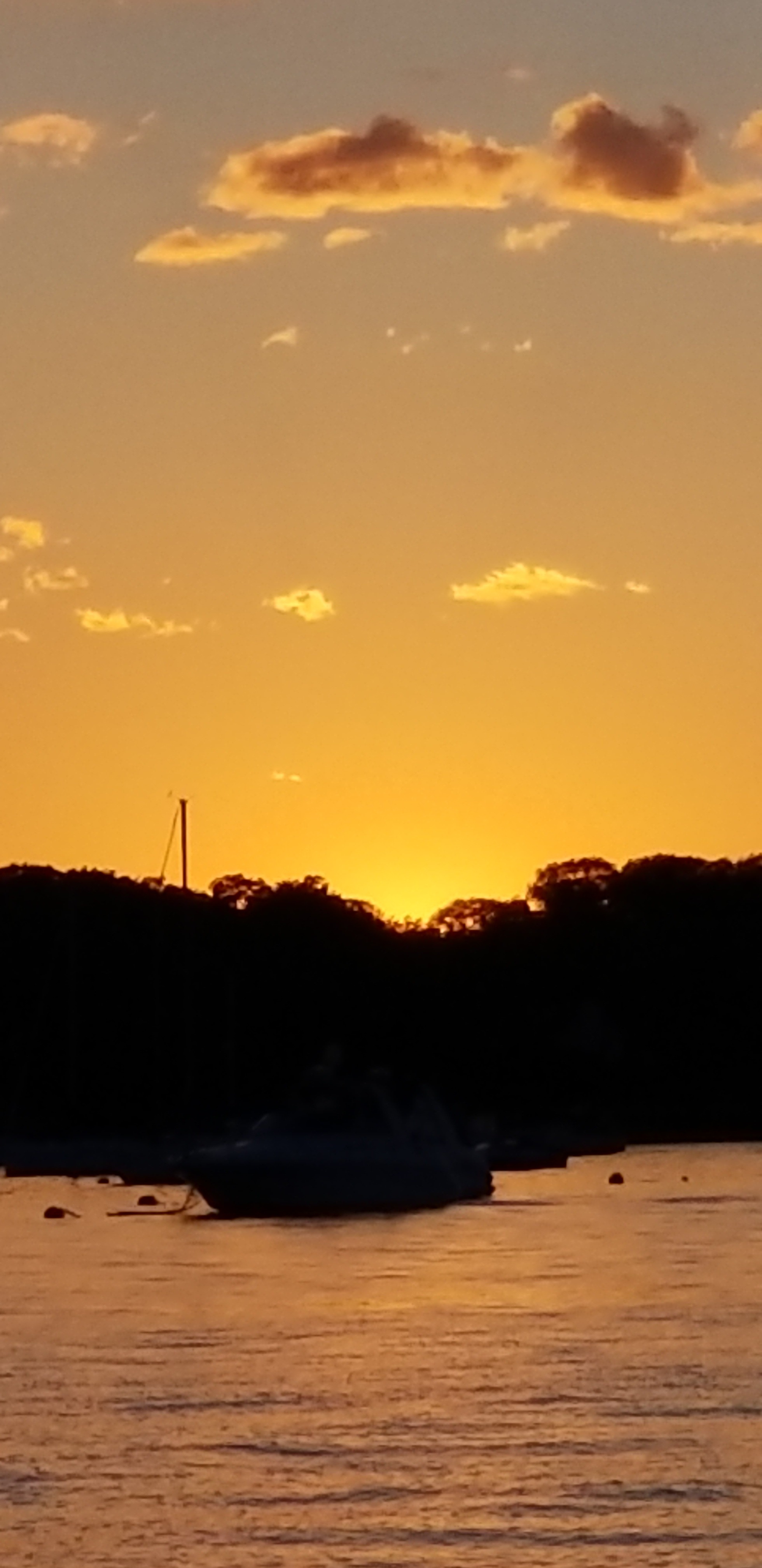 northport yacht club alabama